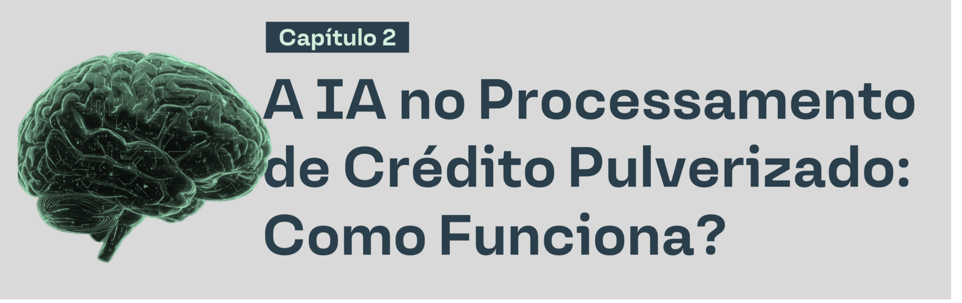 Capítulo 2 - A IA no Processamento de Crédito Pulverizado: Como Funciona?